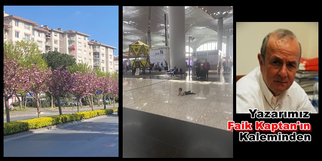 Yolda Karşılaştıklarım